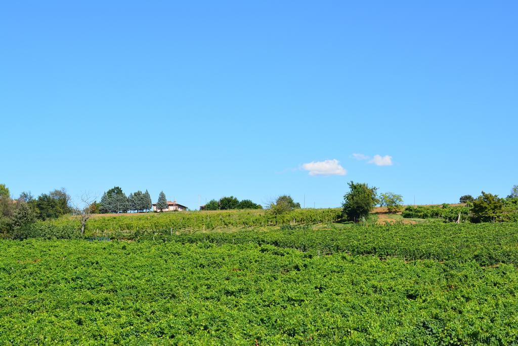 Le Stanze Di Bacco Villa Monteveglio Eksteriør bilde