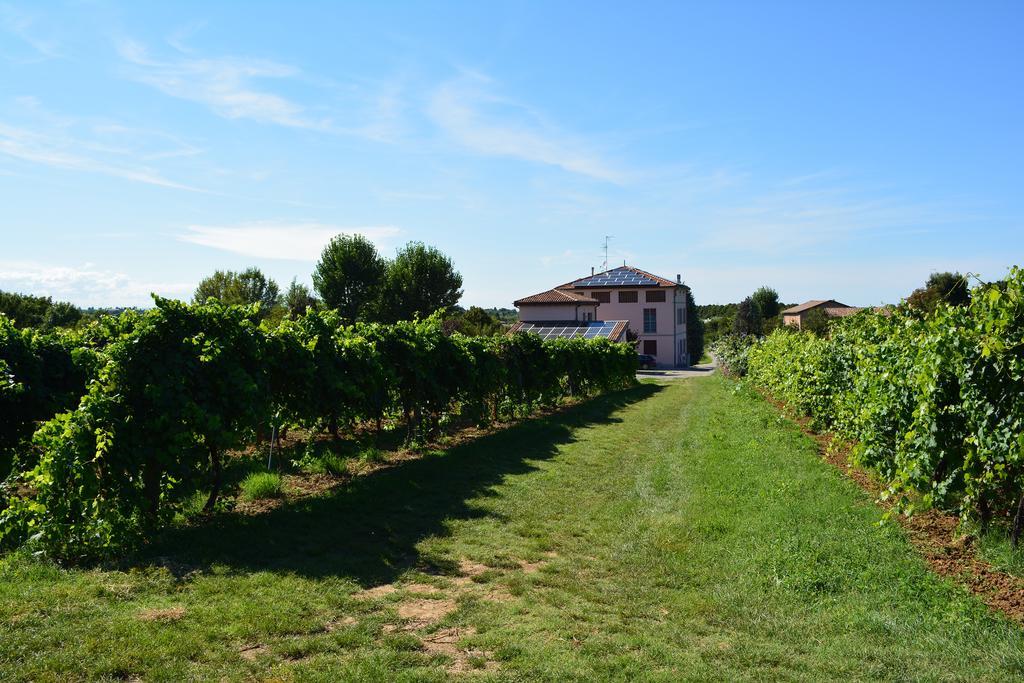 Le Stanze Di Bacco Villa Monteveglio Eksteriør bilde